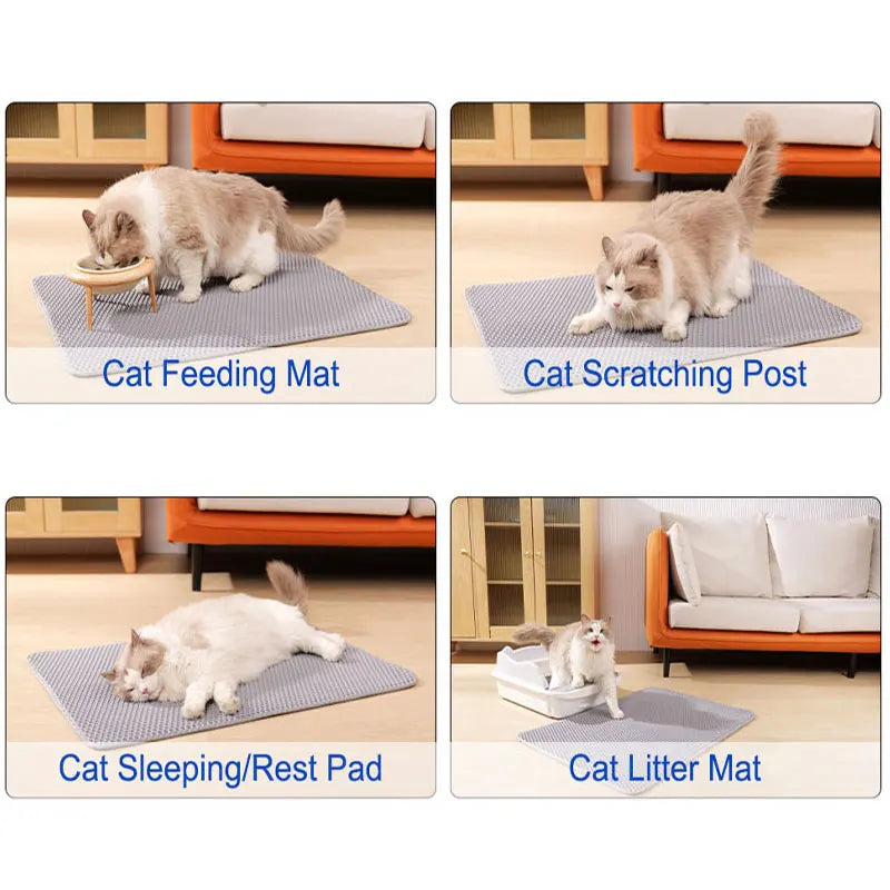 Cattray™
