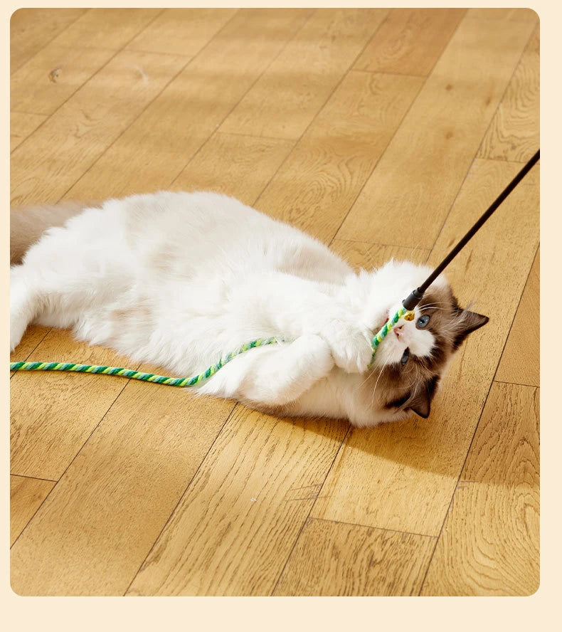 Cattray™