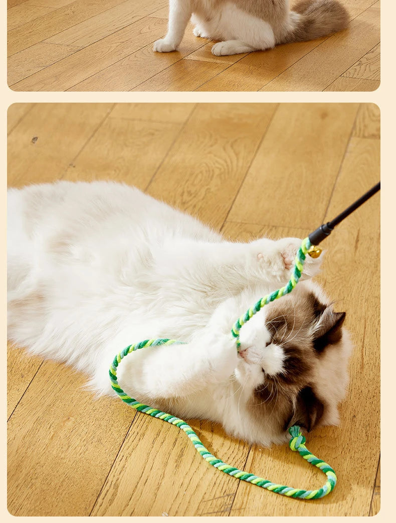 Cattray™